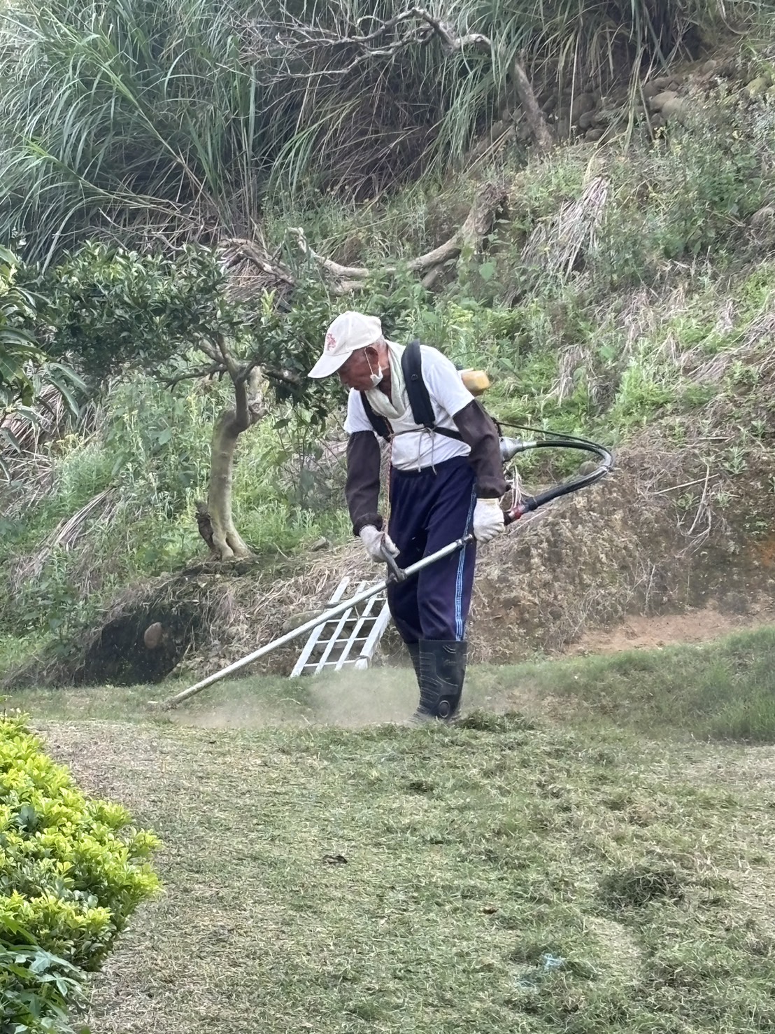 黃老伯