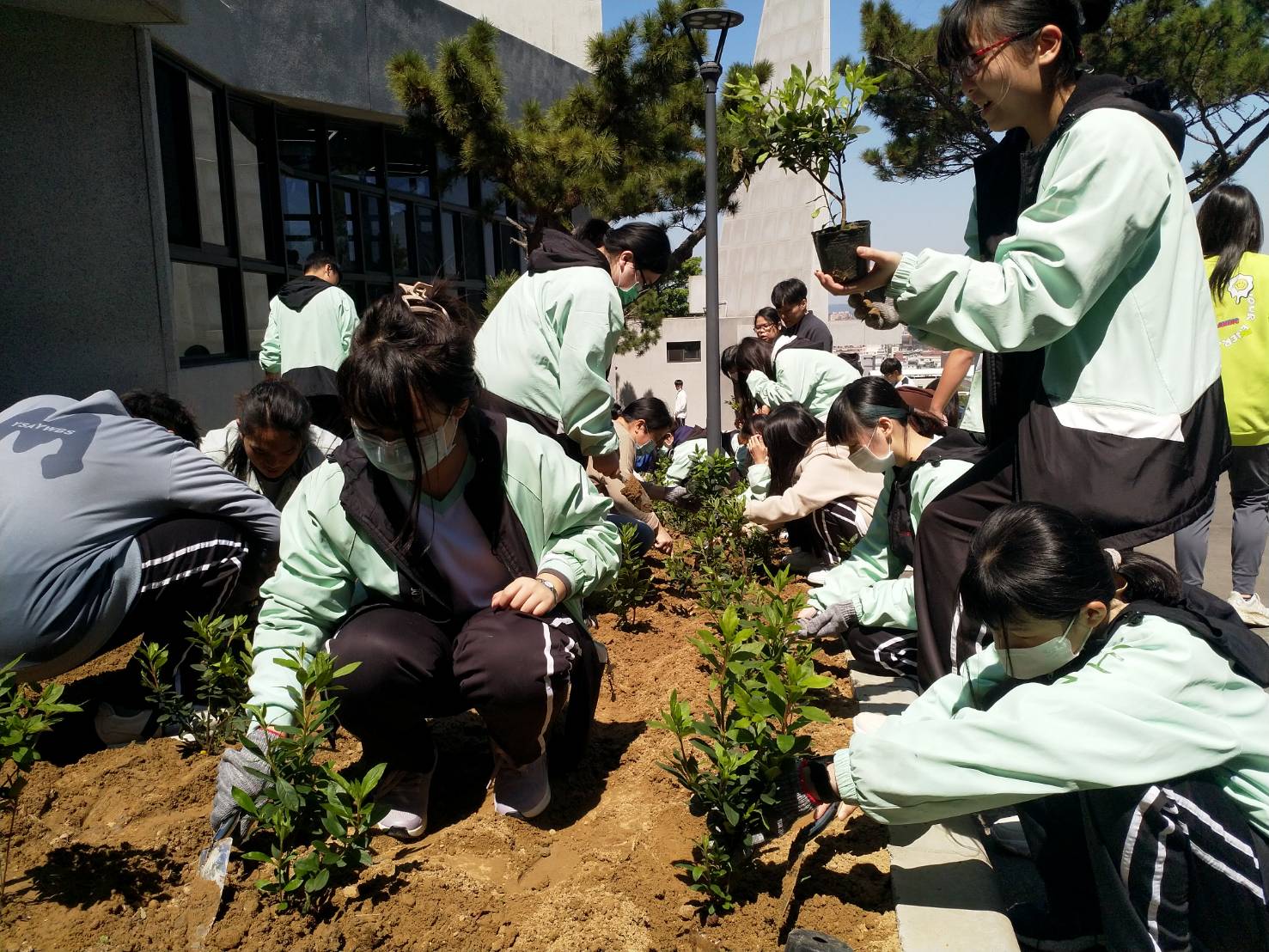 植樹趣1