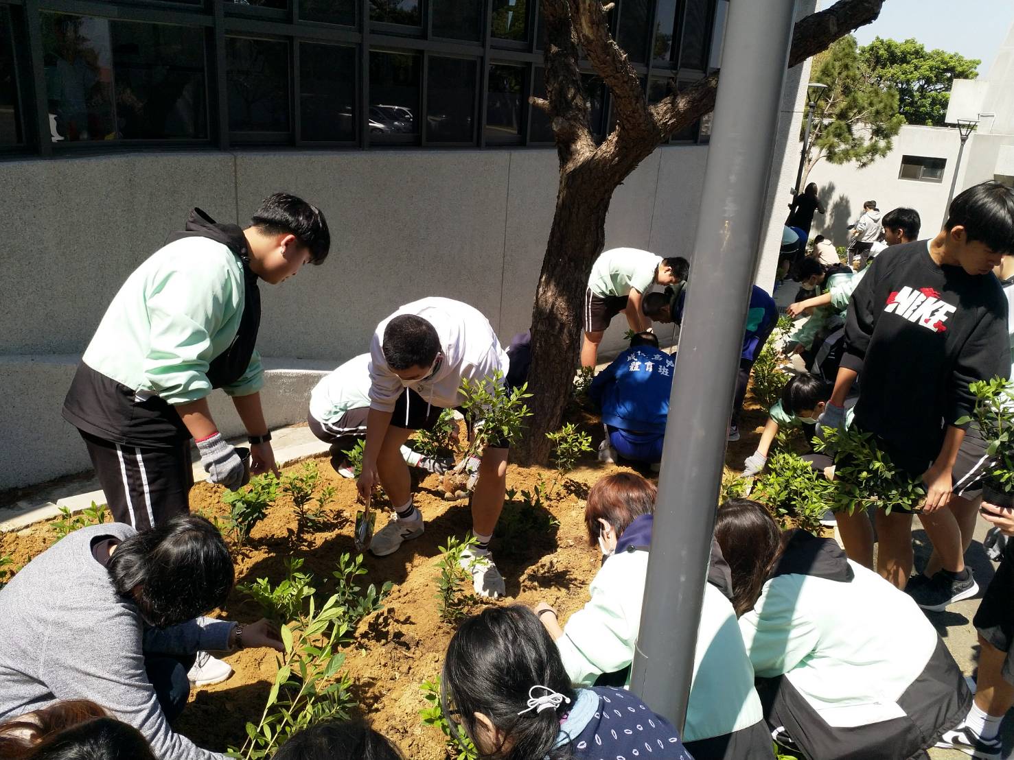 植樹趣2